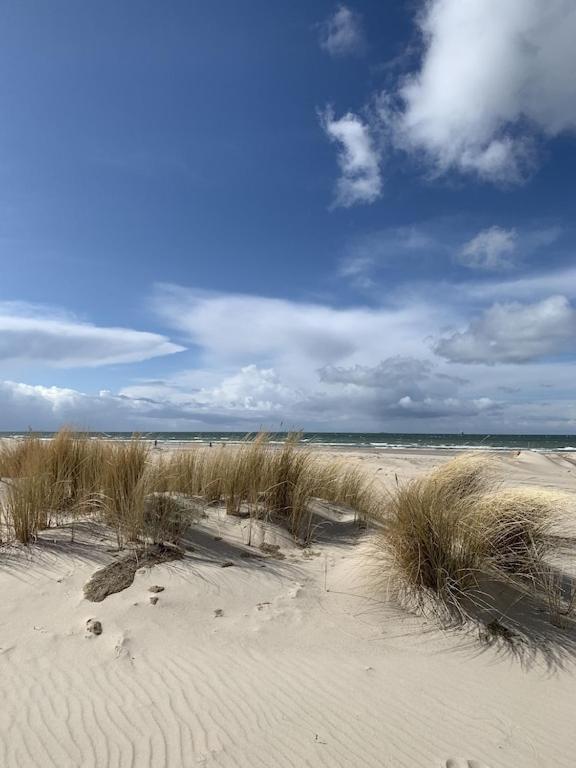 Villa Seeblick Warnemuende - Fewo Mit Meerblick Und Balkon Direkt Am Strand Fuer 2-4 Pers Росток Екстер'єр фото